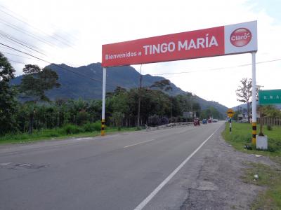 Tingo Maria